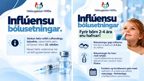 Inflúensubólusetningar 2026