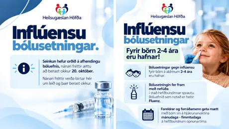 Inflúensubólusetningar 2026